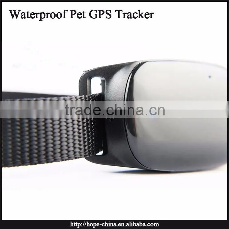 Most popular animal gps tracking device,gps dog collar,cat collar gps tracker
