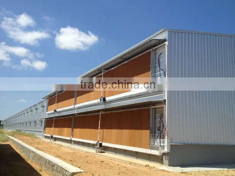 Steel structure poultry house QDXR14C-02F-01