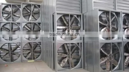 full automatic equipment chicken house for broilers