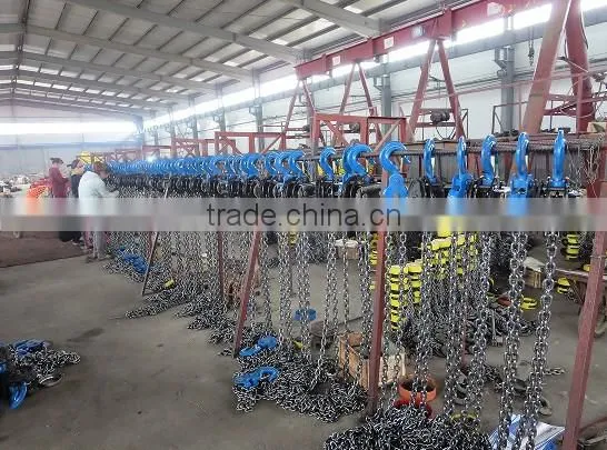 Hand Geared Chain Hoist for Low Head Room