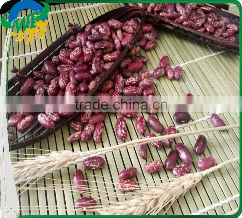 Chinese purple Speckled Kidney beans for sale