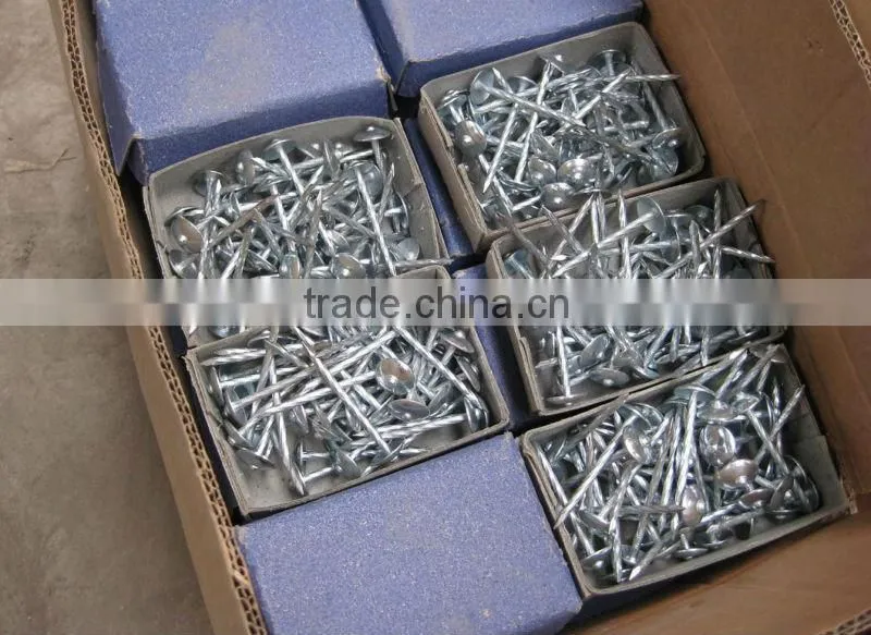 umbrella head galvanized roofing nails