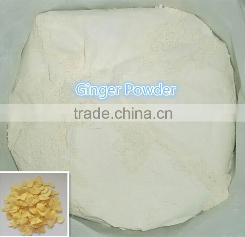 Factory Supply High Quality Garlic Powder with Competitive Price