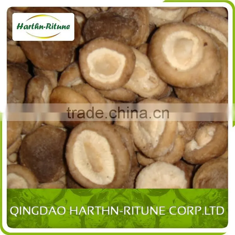 Frozen Shiitake Mushroom IQF Shiitake mushrooms