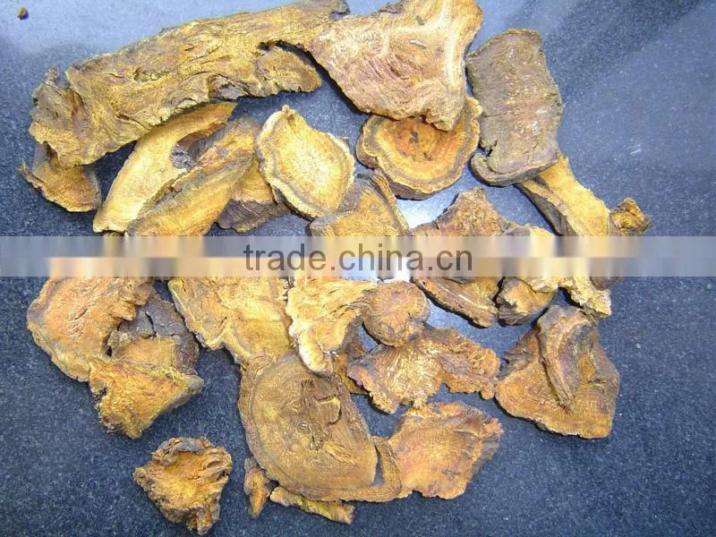 Rhubarb root