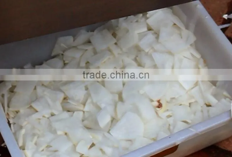 FC-336 Multipurpose Vegetable Slicer and Shredder Cutting Machine