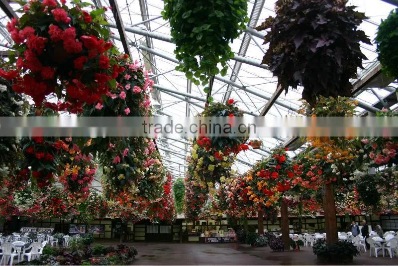 Solar Chamber Greenhouse for Leisure Life