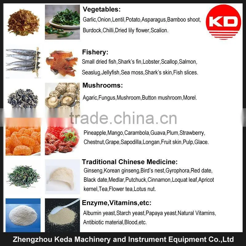 Freeze Dryer Made in China