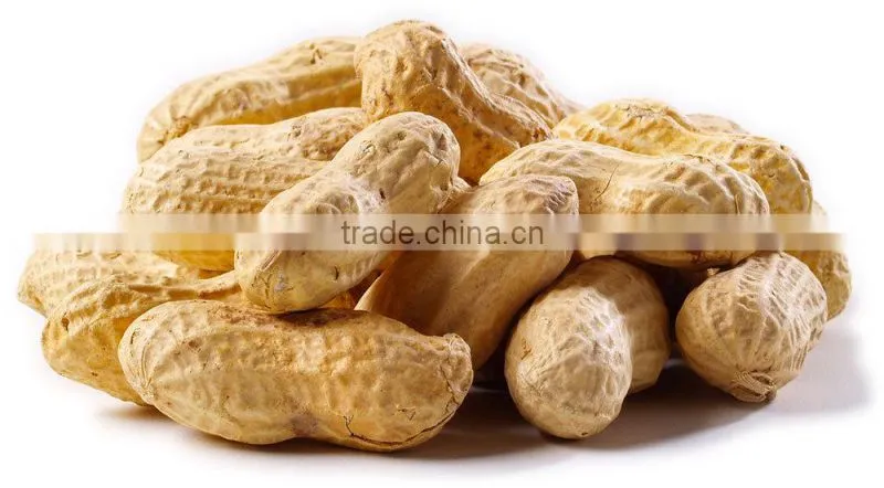 Industrial Roasted Almonds Drying Equipment