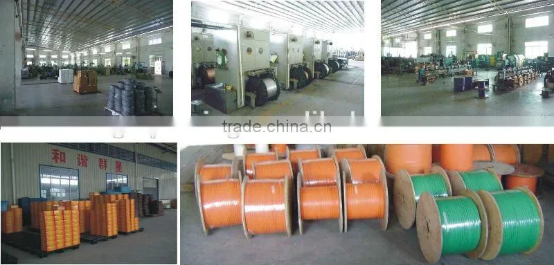 Reptiles Heating/Heated Wire Cable