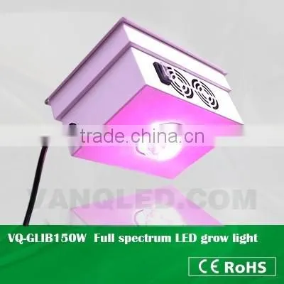 IP65 outdoor grow led light bar 36w for one stop gardens
