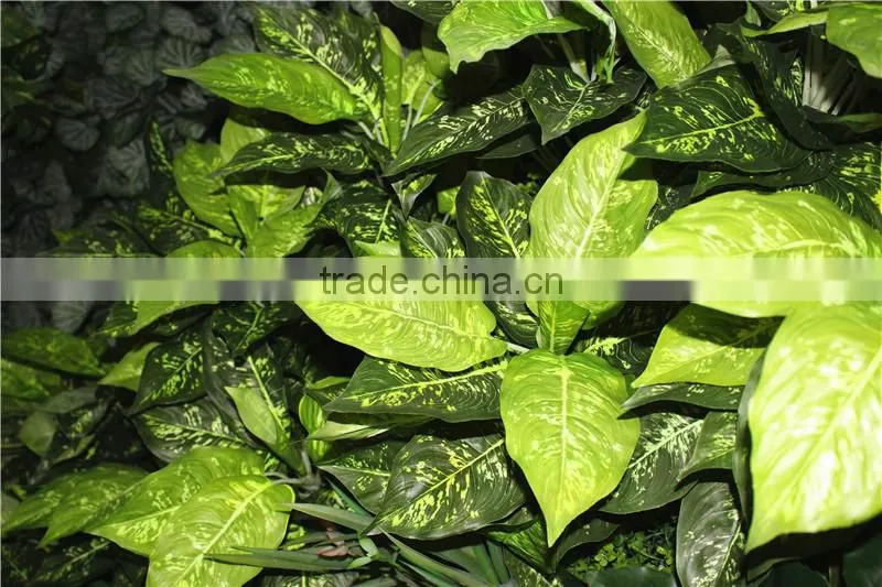 stickers home garden deco 200*200 cm indoor or outdoor artificial corner succulent green climbing plant wall Ezwq10 102