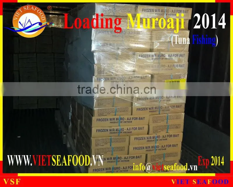 LOADING MUROAJI FOR TUNA BAIT
