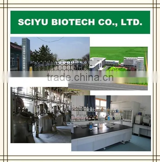 Sciyu supply alma Phyllanthus emblica fruit Extract powder