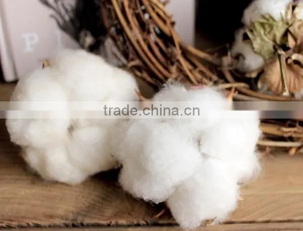 100cotton or t/c stain water resistant fabric for industry fabrics