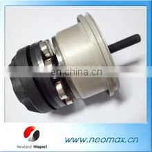 Halbach Array Permanent Magnetic rotor