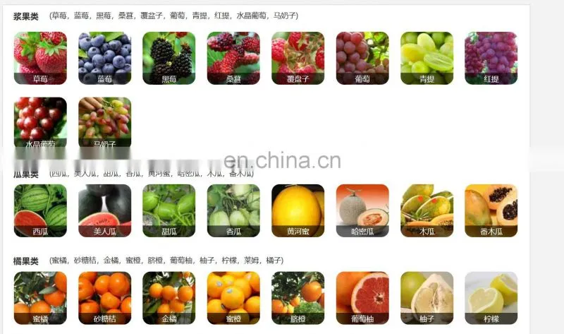 Fruit vegetable belt juice processing machine