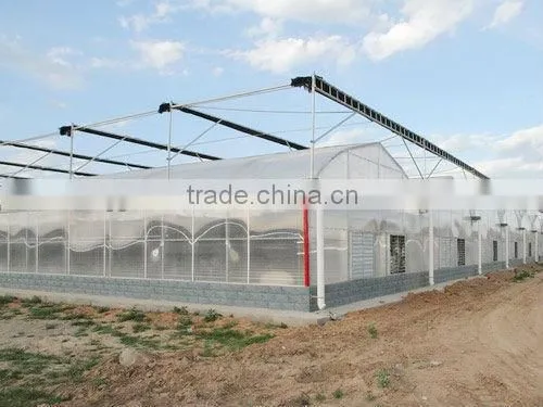 multi span agricultural greenhouses