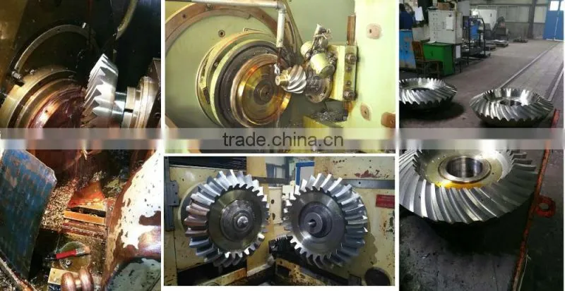 Worm Gear