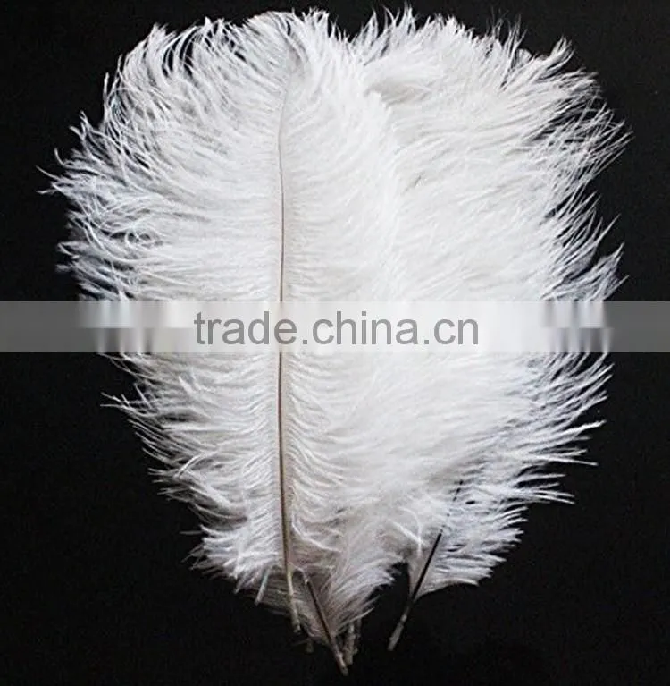 White Colour Party Ostrich Feathers, Ostrich Plumes Feathers, Dyed Ostrich Plumes for Wholesale