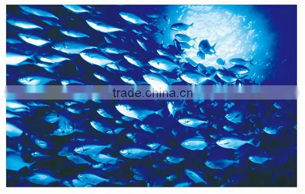 LED fisher lamps 250w led fisher lamps 85lm/w 0.96PF 500m lighting distance AC85~265V wide voltage