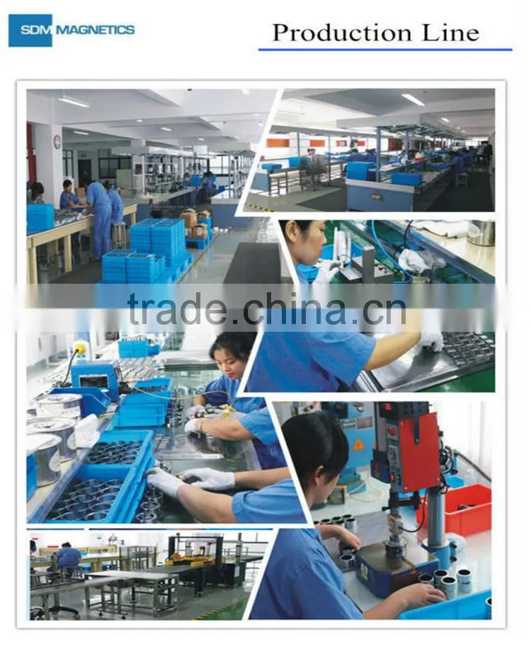 Competitive prices customized Permanent Power Alnico Magnet