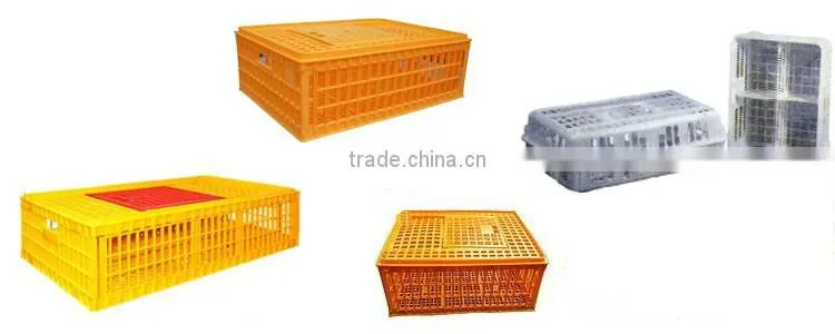 Poultry Cage, Poultry Cage Manufacturer