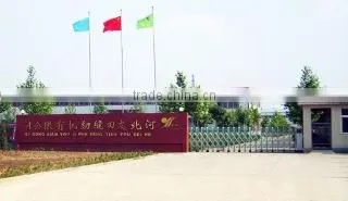 Hebei Youtian Sewing Machine Co., Ltd. company overview - view 1