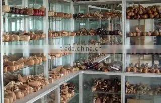 Qinhuangdao Fortune International Trade Co., Ltd. company overview - view 1