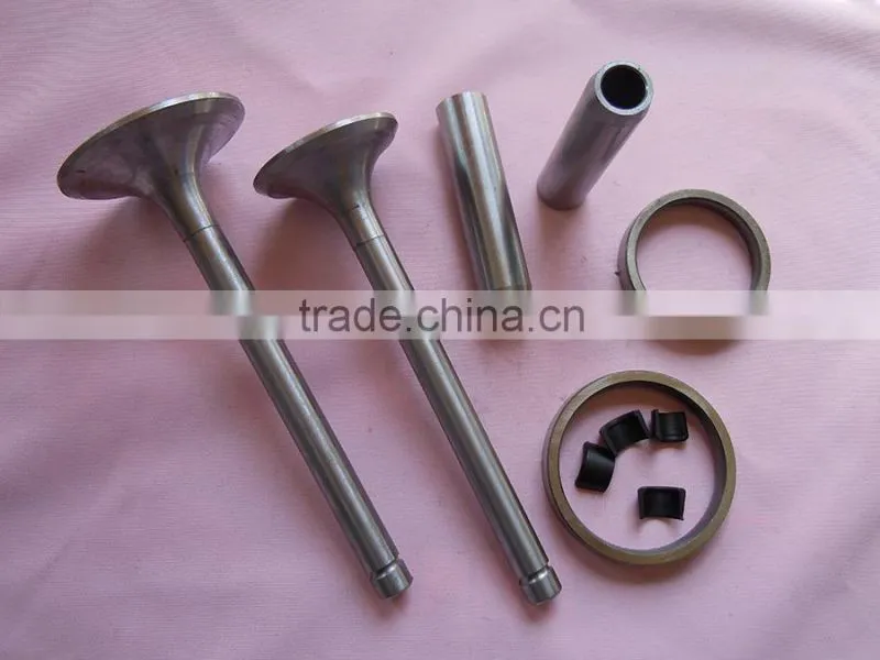 engine parts valve in Hebei