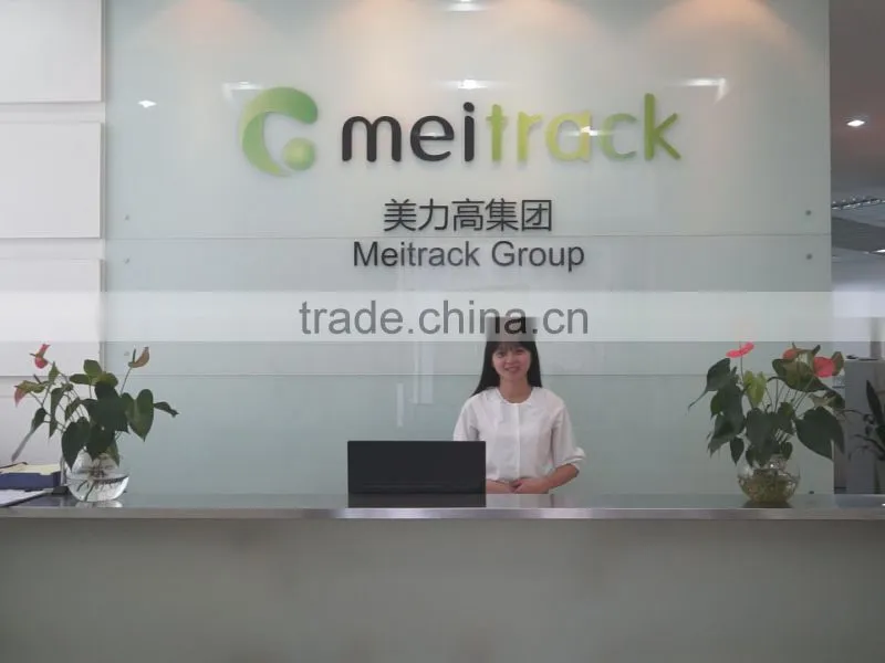 Meitrack Group (Shenzhen) company overview - view 1