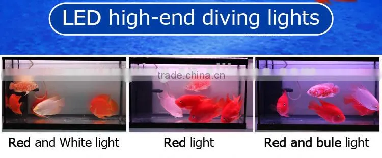 Arowana LED aquarium lights with colourful lights