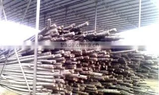 Guangzhou Di Xiang Trading Co., Ltd. company overview - view 2