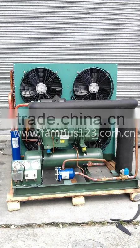 Freezer Condensing Unit,Chiller condensing unit,cooler condensing unit 6H-35.2