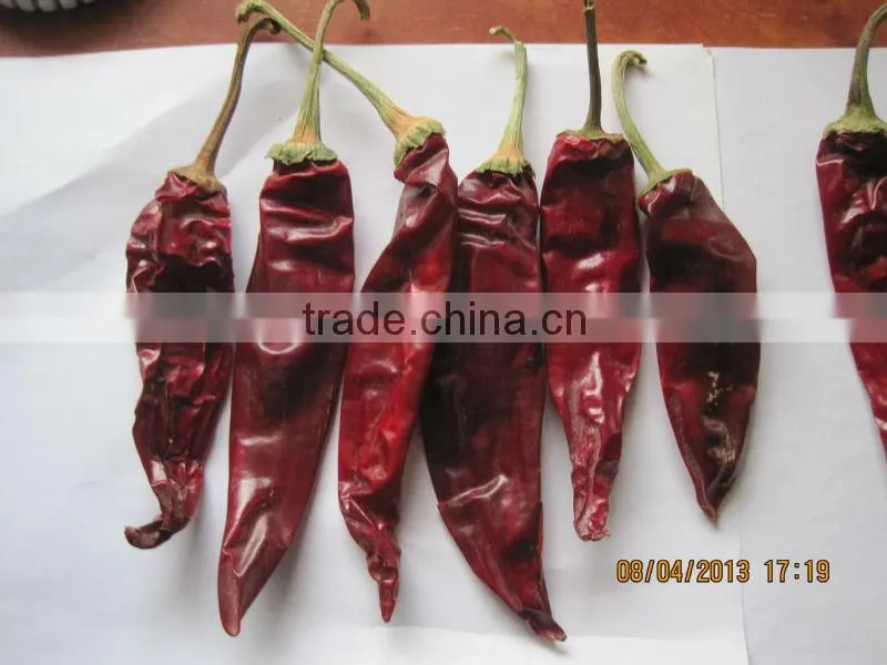 AMERICAN RED CHILI with stem