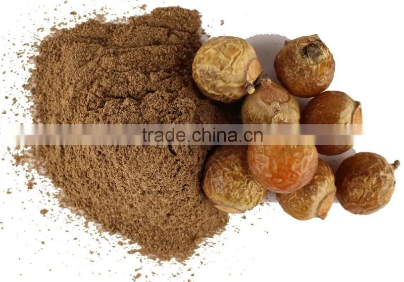 AYURVEDIC MEDICINE : SAPINDUS MUKOROSSI