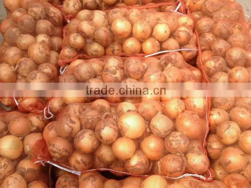 Fresh Onion Export to Dubai