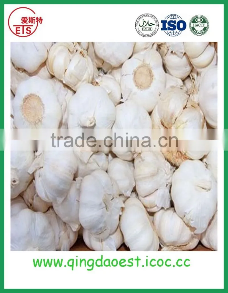 Chinese Jinxiang grade A fresh normal white garlic on sale