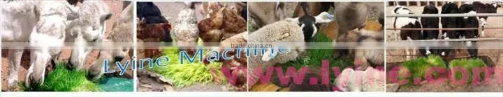 Made in China barley fodder hydroponic machine