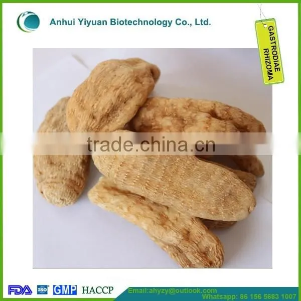 100% Top Grade Gastrodiae Elata Popular Gastrodia Tuer