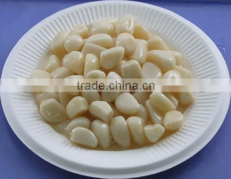 chinese garlic