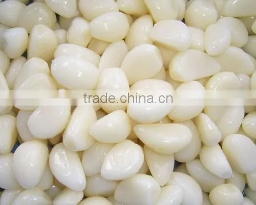 Good quality pickle peeled garlic in brine
