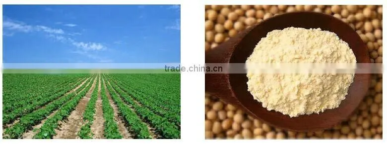 TVP Defatted Soya Protein Soy Meat Textured Soy Protein