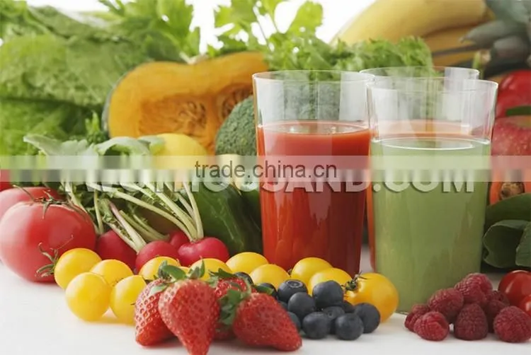 2016 Popular Commercial Fruit Juicer Extractor For Sale