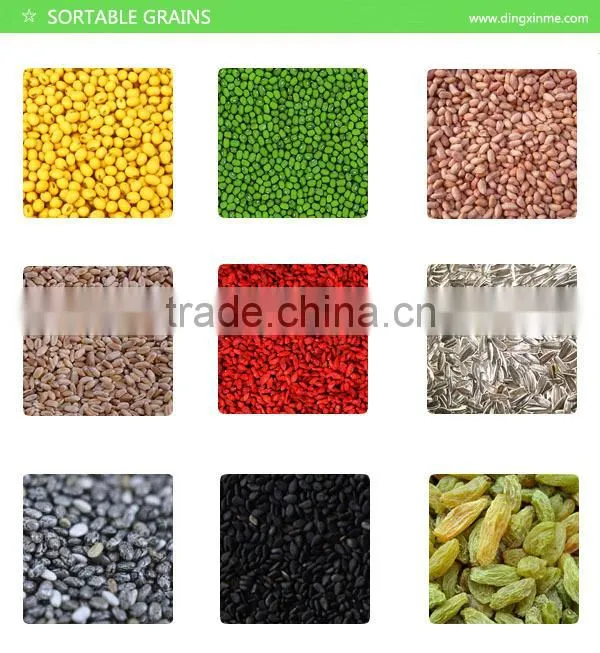 China Best Melon Seeds Color Sorter Color Selector Color Sorting Machine
