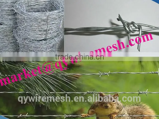 Galvanized Surface Treatment and Steel Wire Material razor barbed wire mesh