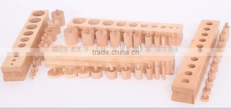 Teaching AIDS Wooden educational toys montessori Cylinders blocks