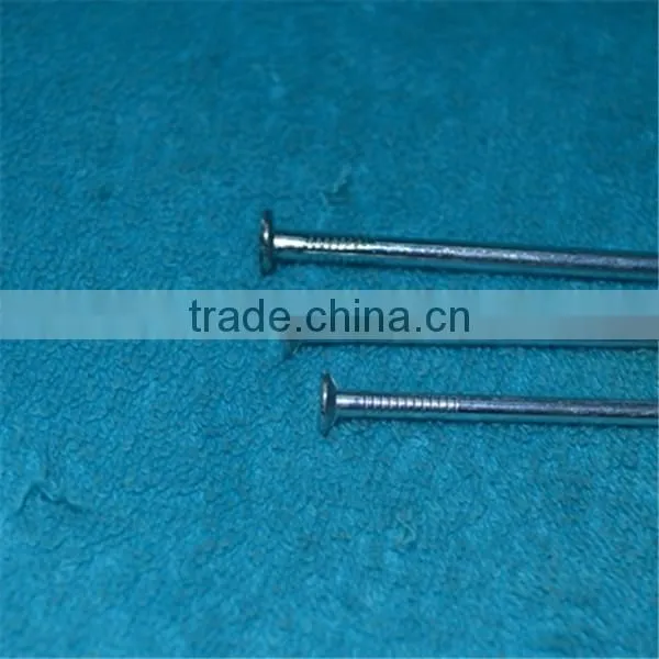 High Standard Galvanized Concrete Nail