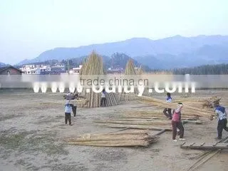 Xiamen Oulay Imp.& Exp. Co., Ltd. company overview - view 1