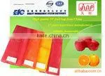 Practical Vegetable bag(Raschel Bag-KL09R019)